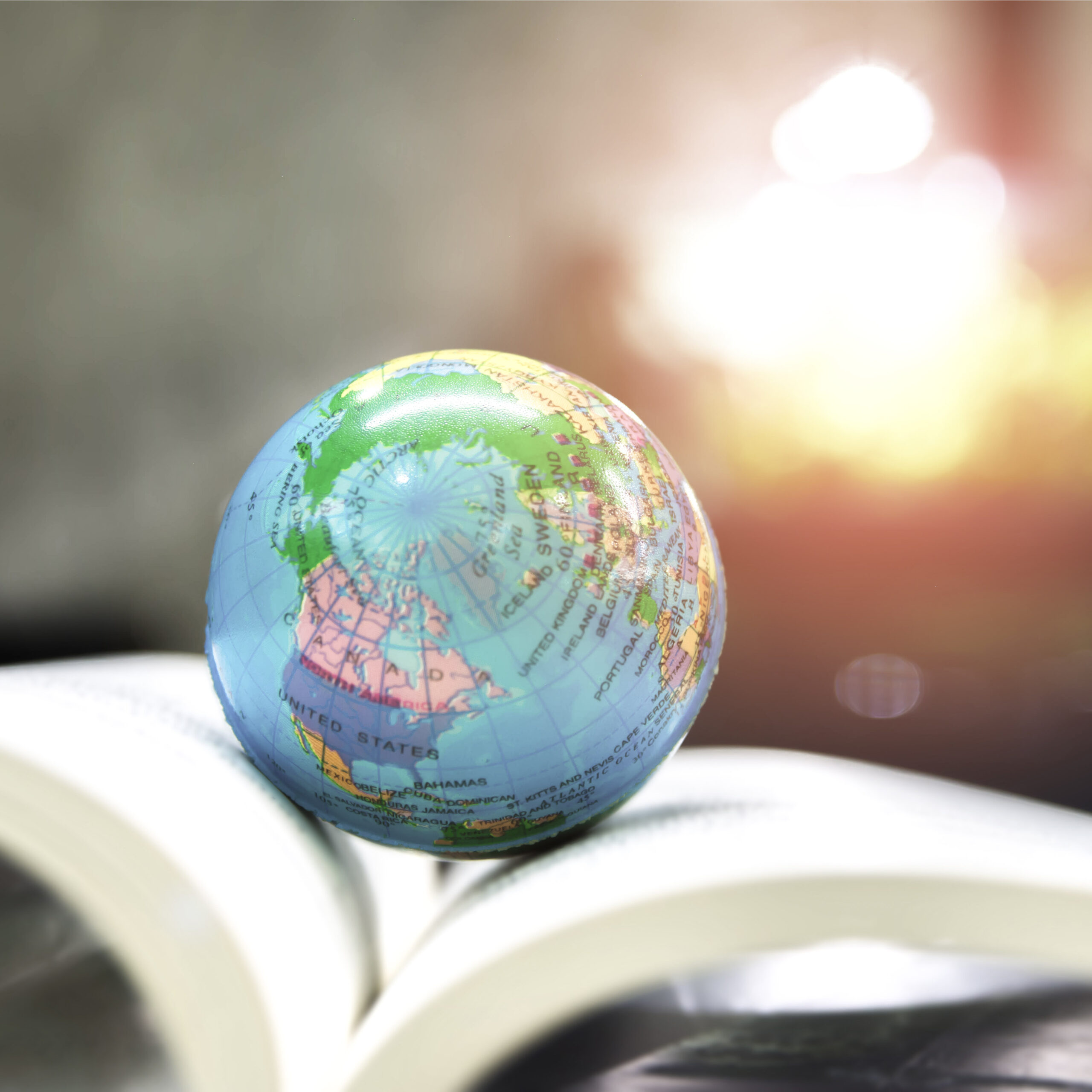 World,Globe,On,Text,Book.,International,Education,School,Concept.,Distance
